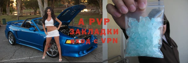 сатива Белокуриха