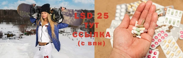 сатива Белокуриха