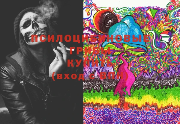 сатива Белокуриха