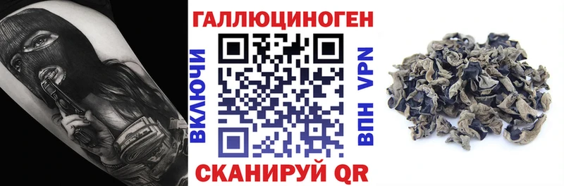 shop какой сайт  Валуйки  Галлюциногенные грибы Magic Shrooms 